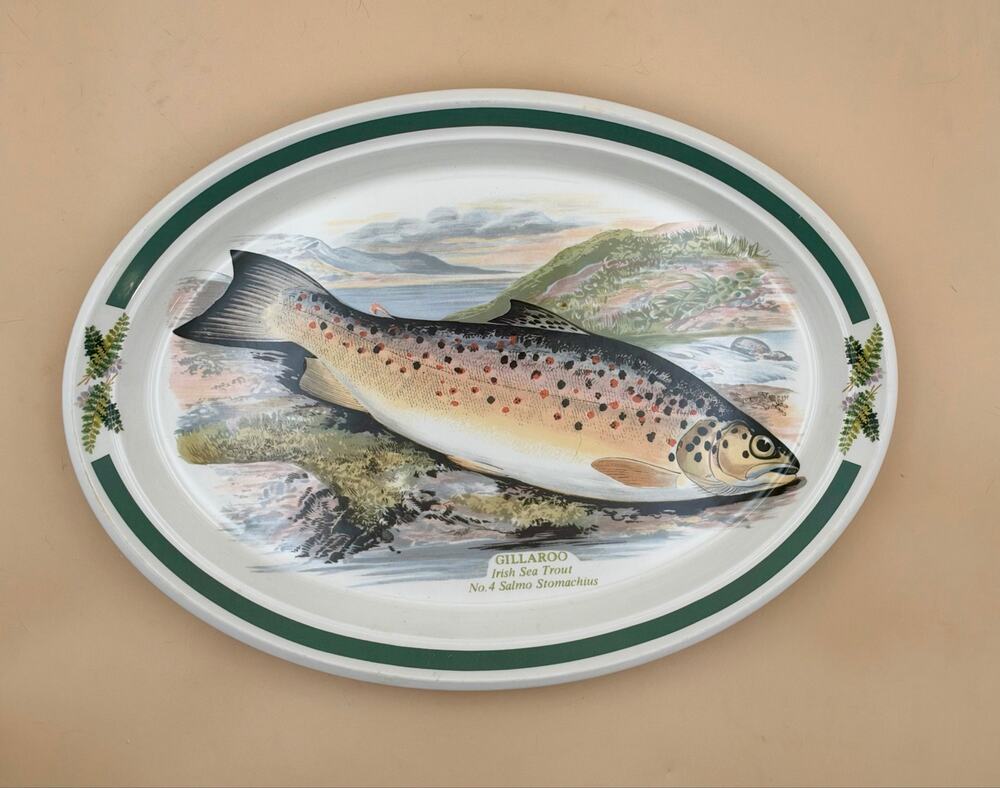 Portmeirion Compleat Angler Gillaroo Irish Sea Trout 13” Oval Platter 1981